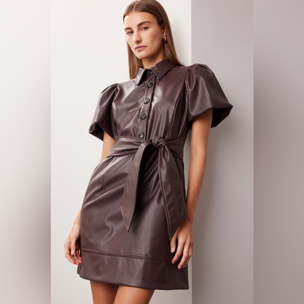 Chic Brown Puff Sleeve Mini Dress